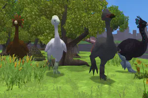 Elephant Bird Variants