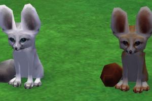 Fennec Fox Dark Variant