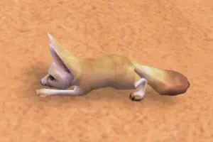 Fennec Fox Variants