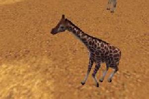 Giraffe Variant