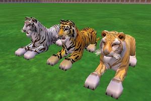 Golden Tabby Tiger Variant Variants