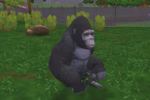 Mountain Gorilla Variant