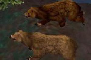Grizzly Bear Variant