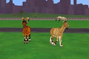 Ibex Variant II