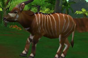 Light Bongo Variant