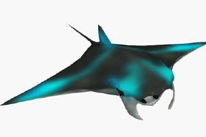 Manta Ray Variants