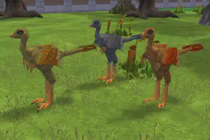Protarchaeopteryx Variants