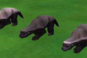 Two Ratel Variants