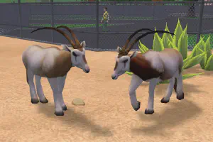 Scimitar Horned Oryx Variants