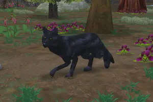 Shadow Wolf