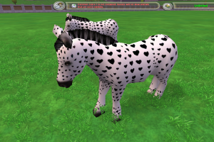 Valentine's Day Zebra
