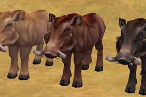 Warthog Variants