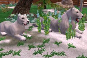 White Cave Lion Variants
