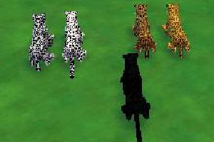 White Jaguar Variants