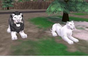 White Lion Variant