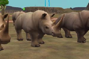 White Rhino Variants