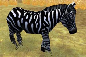 Zebra Variant