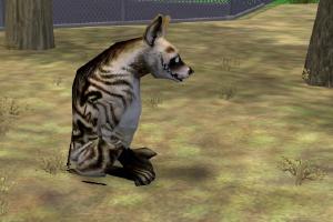Zoomaniac Variant