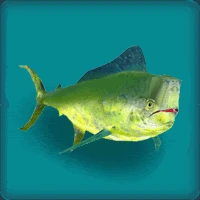 Mahi-Mahi