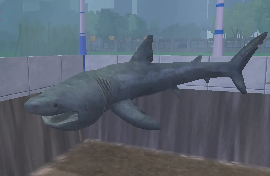 Shark Pack Total Remake Zooberry