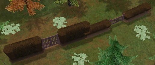 Boreal Hedge