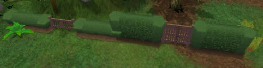 Rainforest Hedge