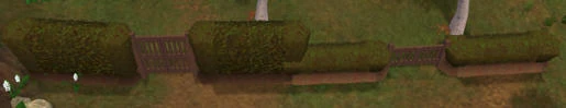 Temperate Hedge